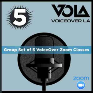 5 sessions Group VoiceOver Online Classes