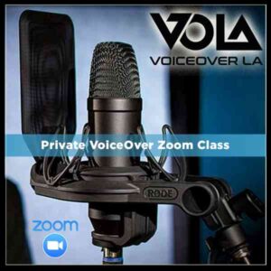 VoiceOver one session group online classes