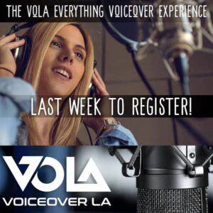 VoiceOverLA interactive event